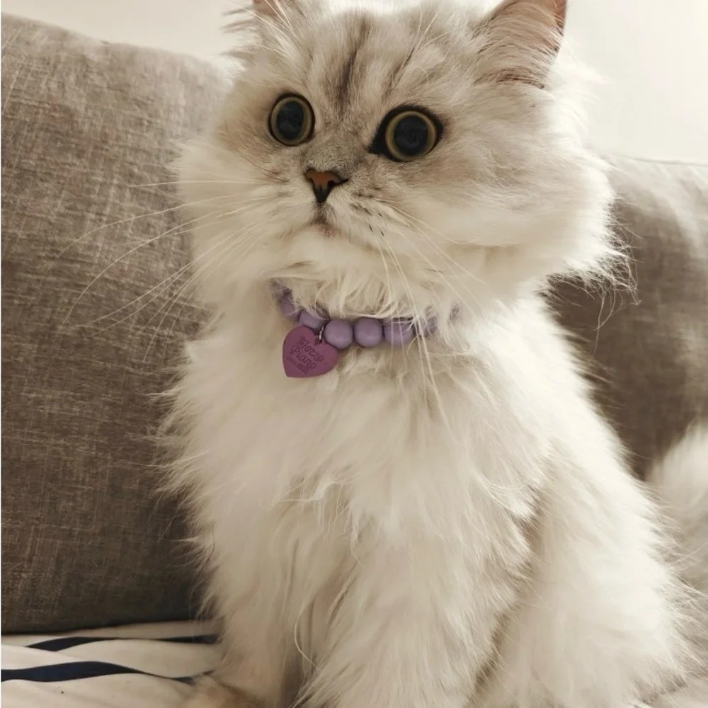 Colored Resin Pet Collar